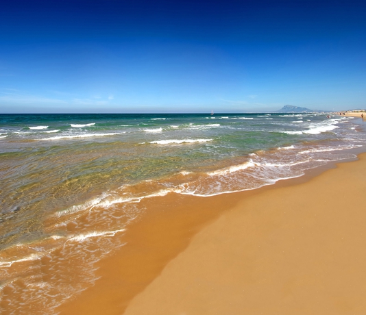 Imagen de los exteriores del Hotel Oliva Nova. Foto 5