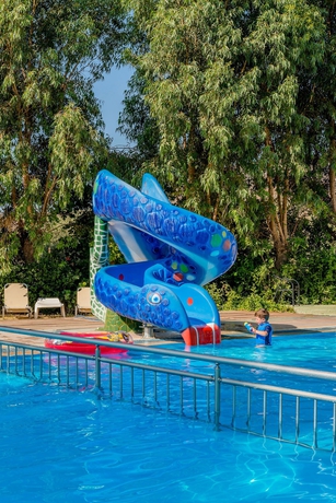 Imagen de la piscina del Hotel Olive Garden. Foto 11