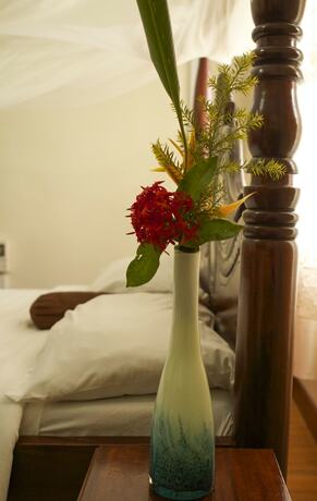 Imagen general del Hotel Olive Gardens. Foto 6