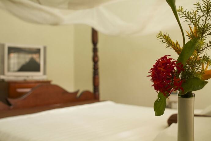 Imagen de la habitación del Hotel Olive Gardens. Foto 18