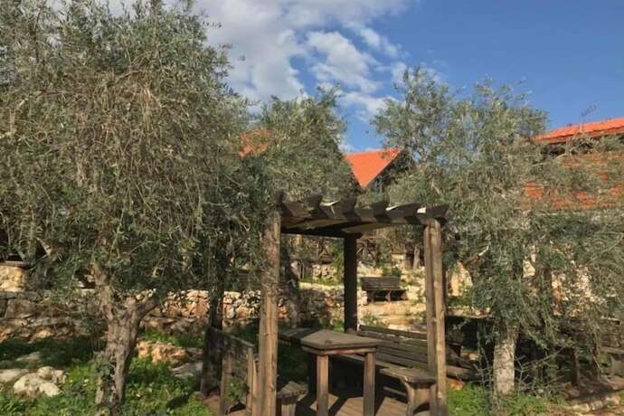 Imagen general del Hotel Olive Gardens Resort. Foto 8