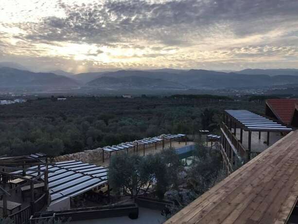 Imagen general del Hotel Olive Gardens Resort. Foto 11