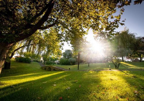 Imagen de los exteriores del Hotel Olive Nature - Hotel and SPA da Quinta Dona Adelaide. Foto 15