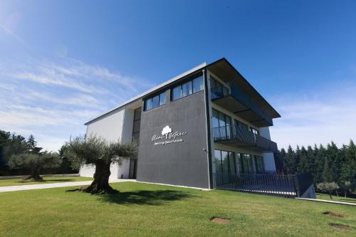 Imagen general del Hotel Olive Nature - Hotel and SPA da Quinta Dona Adelaide. Foto 2