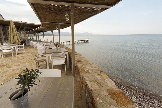 Imagen general del Hotel Olive Press and Apartments. Foto 11