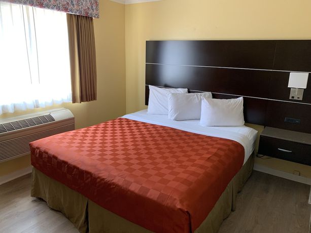 Imagen de la habitación del Hotel Olive Tree Inn and Suites. Foto 14