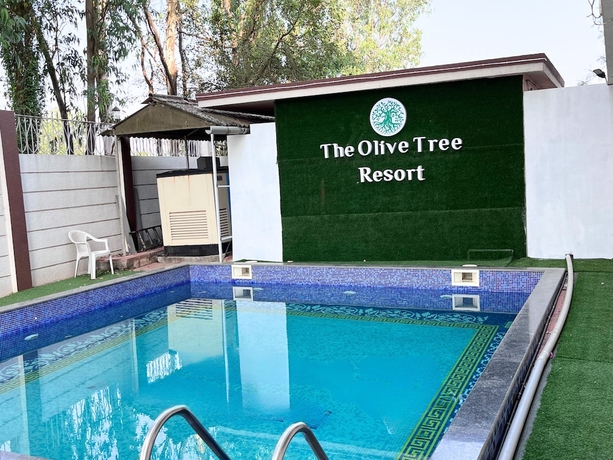 Imagen general del Hotel Olive Tree Resort. Foto 1