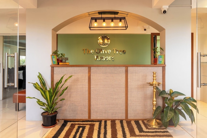 Imagen de los interiores del Hotel Olive Tree Resort. Foto 14