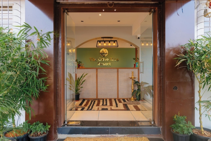 Imagen de los interiores del Hotel Olive Tree Resort. Foto 16