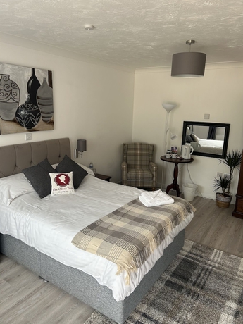 Imagen de la habitación del Hotel Oliver Twist Country Inn. Foto 12