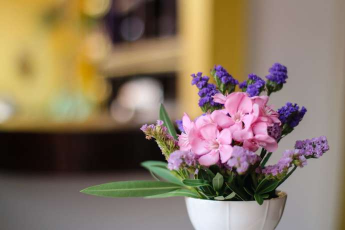 Imagen de los interiores del Hotel Olivie Boutique. Foto 13