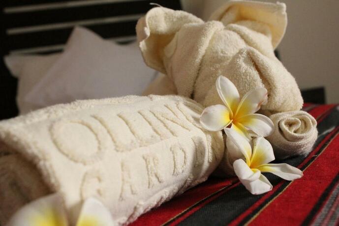 Imagen general del Hotel Ollino Garden. Foto 69