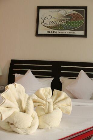 Imagen general del Hotel Ollino Garden. Foto 70