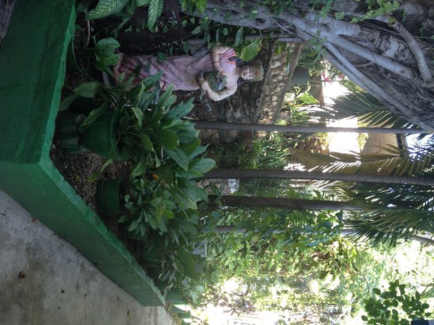 Imagen general del Hotel Oloffson. Foto 3