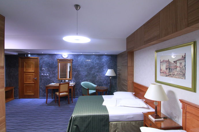 Imagen de la habitación del Hotel Oltenia. Foto 9