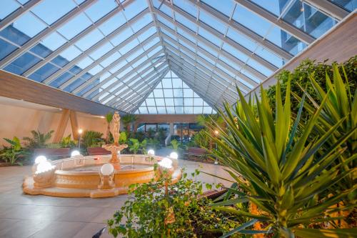 Imagen general del Hotel Olymp IV. Foto 5