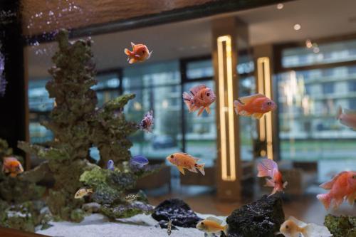 Imagen general del Hotel Olymp IV. Foto 10