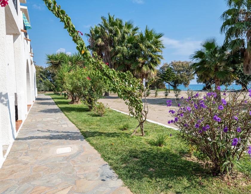 Imagen general del Hotel Olympia Mare, KARDAMENA. Foto 11