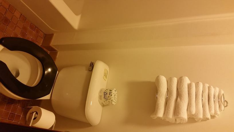 Imagen de la habitación del Hotel Olympia Motel. Foto 12