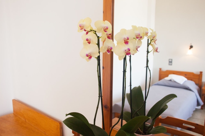 Imagen de la habitación del Hotel Olympia, Siros. Foto 5