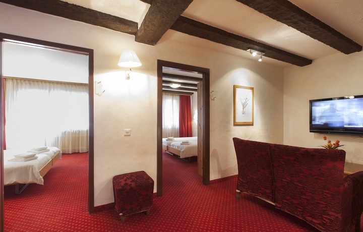 Imagen de la habitación del Hotel Olympic, CRANS MONTANA . Foto 15