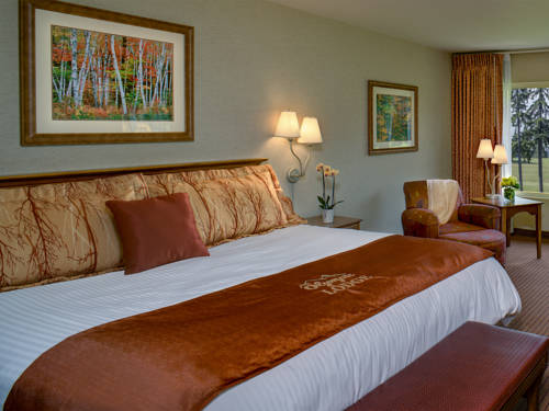 Imagen de la habitación del Hotel Olympic Lodge. Foto 2