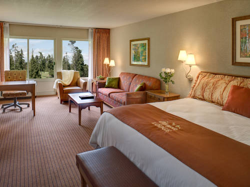 Imagen de la habitación del Hotel Olympic Lodge. Foto 6