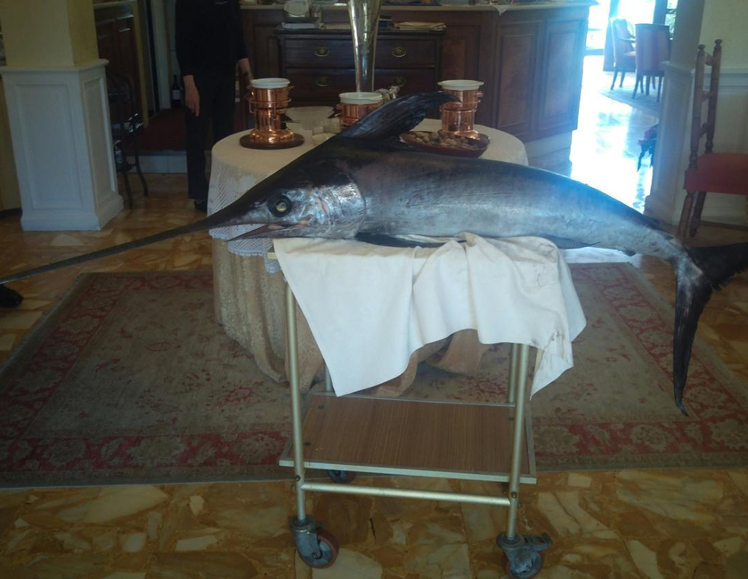Imagen general del Hotel Olympic, Saint Vincent. Foto 5
