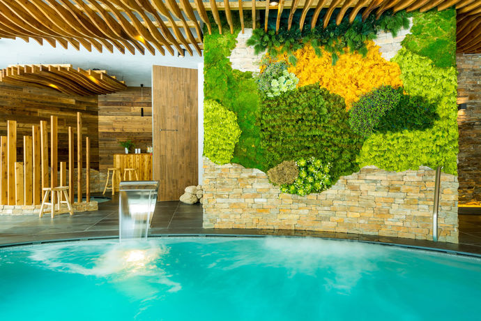 Imagen de la piscina del Hotel Olympie. Foto 14