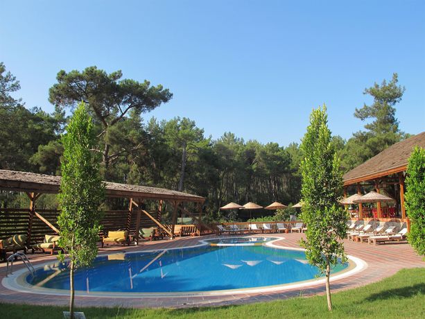 Imagen de la habitación del Hotel Olympos Village. Foto 6