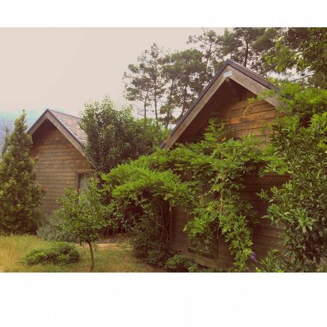 Imagen de la habitación del Hotel Olympos Village. Foto 7