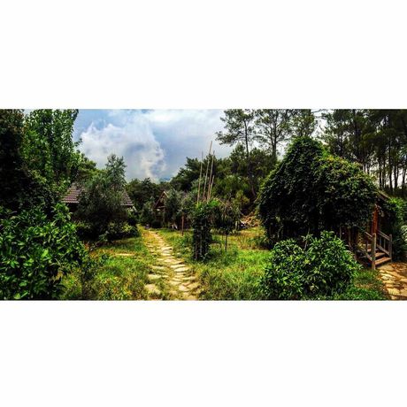 Imagen de los exteriores del Hotel Olympos Village. Foto 12