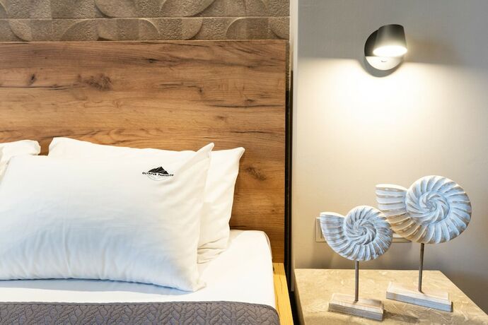 Imagen general del Hotel Olympus Pantheon Luxury Rooms. Foto 4