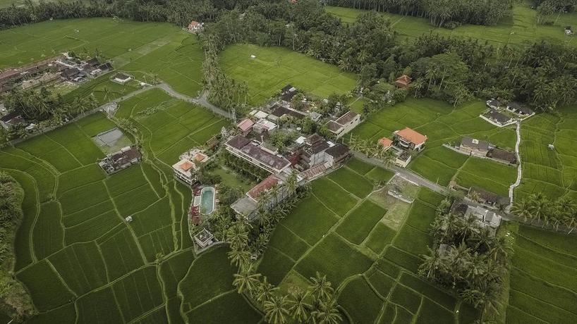 Imagen de los exteriores del Hotel Om Ham Retreat and Resort - Chse Certified. Foto 7