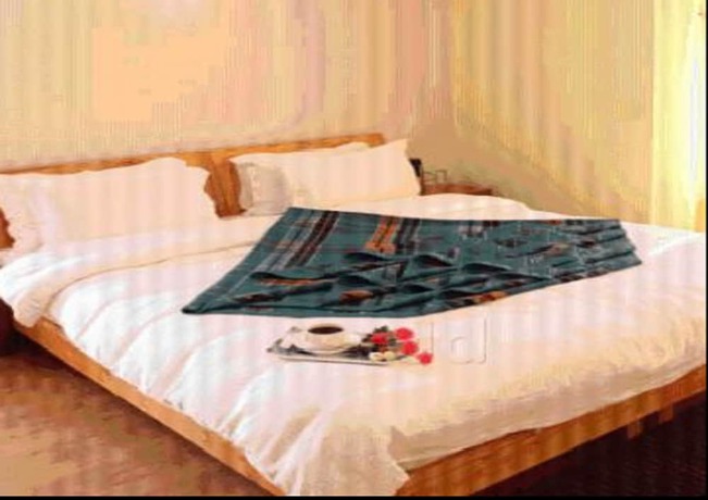Imagen de la habitación del Hotel Om Ladakh. Foto 11