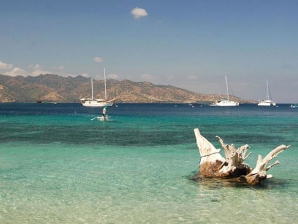 Imagen general del Hotel Omah Gili. Foto 1
