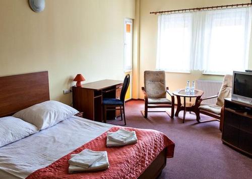 Imagen general del Hotel Omega, Ostr&oacute;w Wielkopolski. Foto 2
