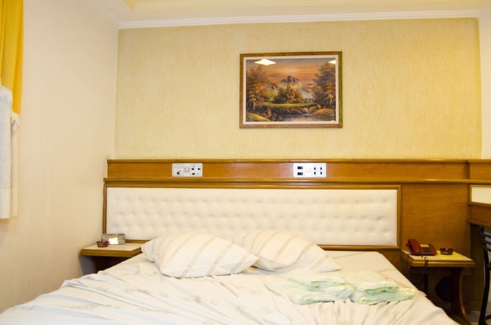 Imagen de la habitación del Hotel Omega Palace. Foto 4