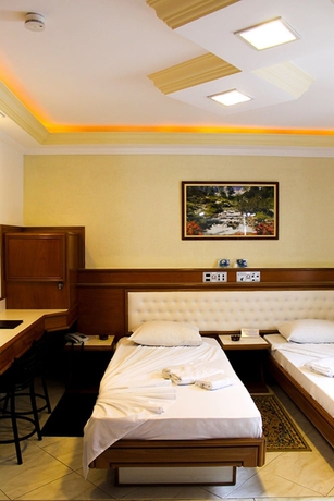 Imagen de la habitación del Hotel Omega Palace. Foto 9