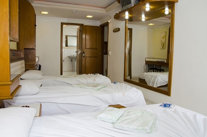 Imagen de la habitación del Hotel Omega Palace. Foto 16