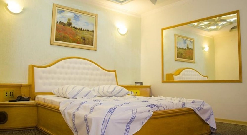 Imagen de la habitación del Hotel Omega Palace. Foto 17