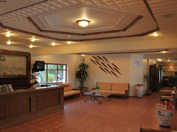 Imagen general del Hotel Omega Platanias. Foto 10