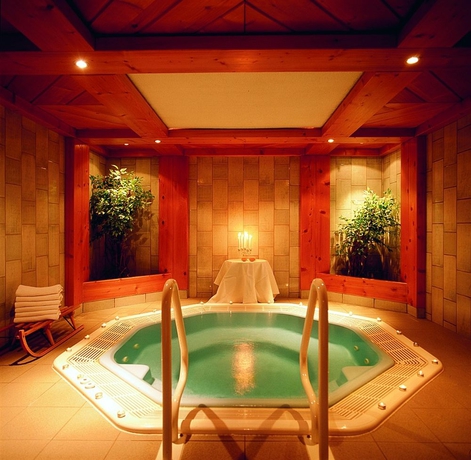Imagen de la piscina del Hotel Omesberg. Foto 13