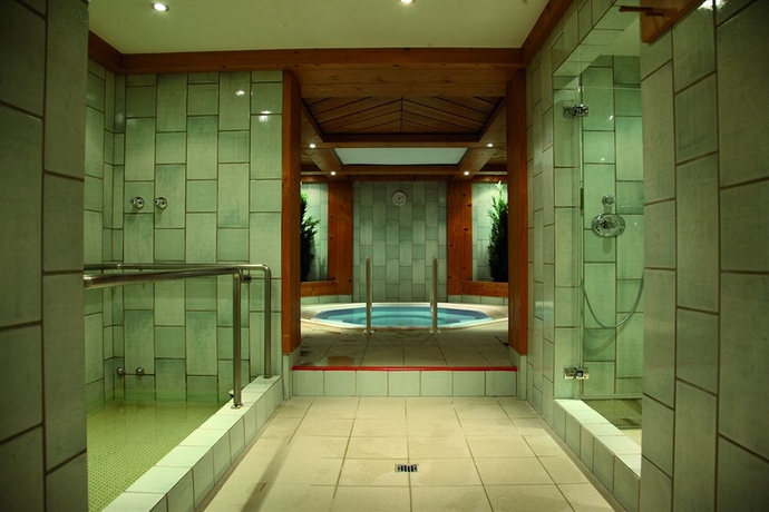 Imagen de la piscina del Hotel Omesberg. Foto 15
