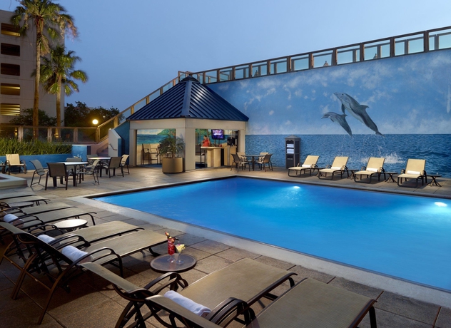 Imagen de la piscina del Hotel Omni Corpus Christi. Foto 16