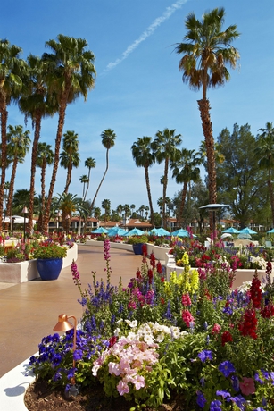 Imagen general del Hotel Omni Rancho Las Palmas Resort and Spa. Foto 1