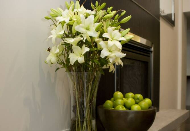 Imagen general del Hotel On Devonport. Foto 8