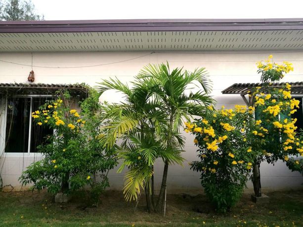 Imagen general del Hotel On Green Resort. Foto 3