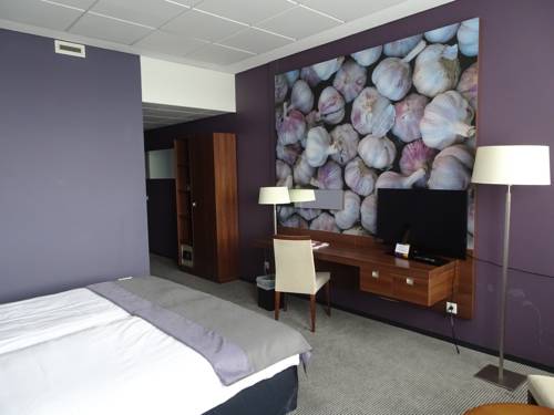 Imagen de la habitación del Hotel Onderwijshotel De Rooi Pannen Eindhoven. Foto 9