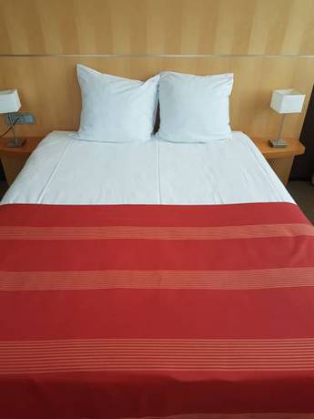 Imagen de la habitación del Hotel Onderwijshotel De Rooi Pannen Eindhoven. Foto 16